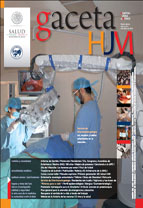 Gaceta HJM
